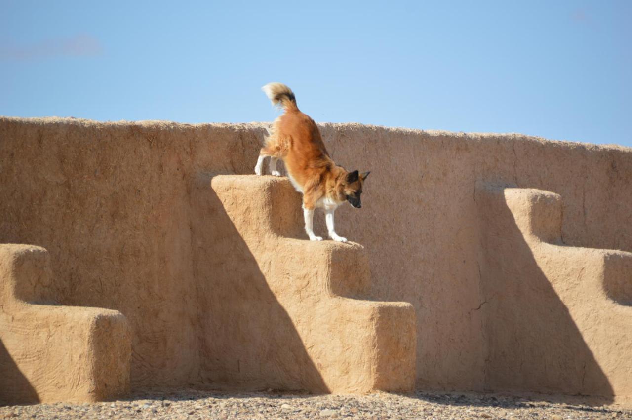 Desert Days Mud Cabin'S Resort Tzukim Bagian luar foto
